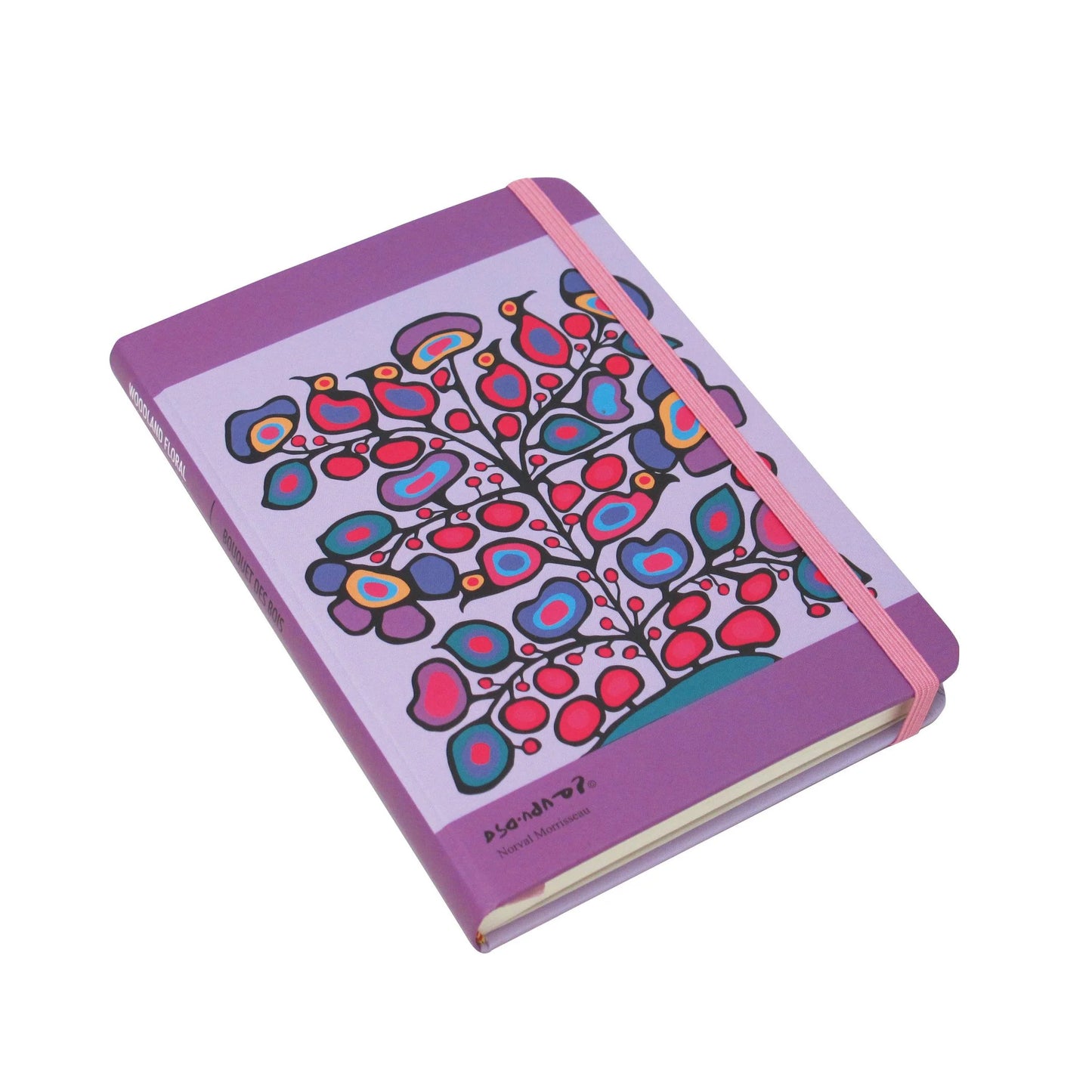 Indigenous Artist Journal